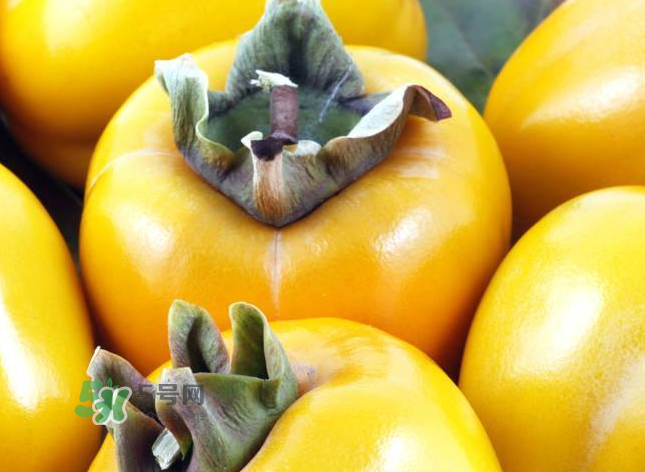 脆柿子好吃還是軟柿子好吃？脆柿子和軟柿子哪個(gè)好吃？