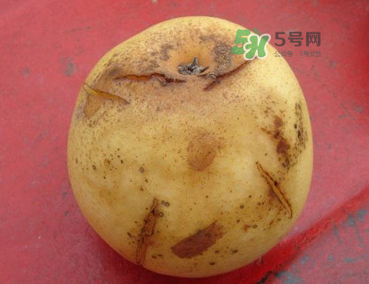 皇冠梨雞爪病能吃嗎？皇冠梨雞爪病怎么辦？