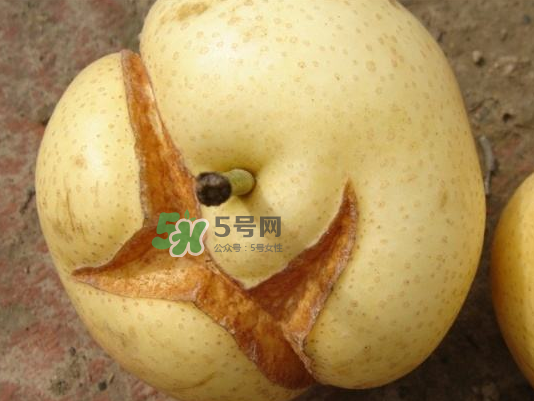 皇冠梨雞爪病能吃嗎？皇冠梨雞爪病怎么辦？