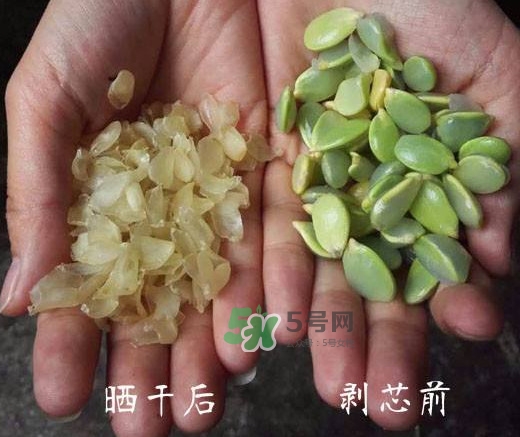 皂角米是什么味道？皂角米是什么顏色