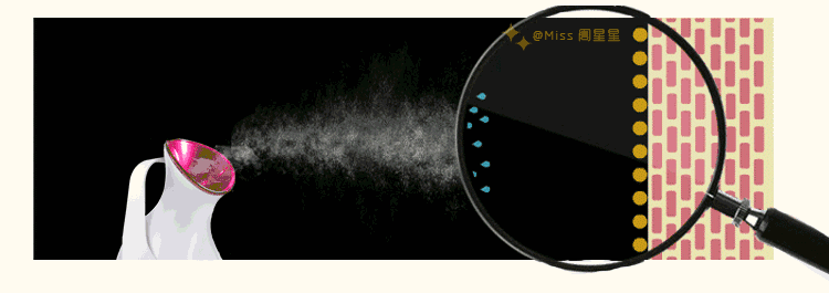 蒸臉器的最佳使用方法 蒸臉器哪個(gè)牌子好 蒸臉器的最佳使用方法 蒸臉器哪個(gè)牌子好