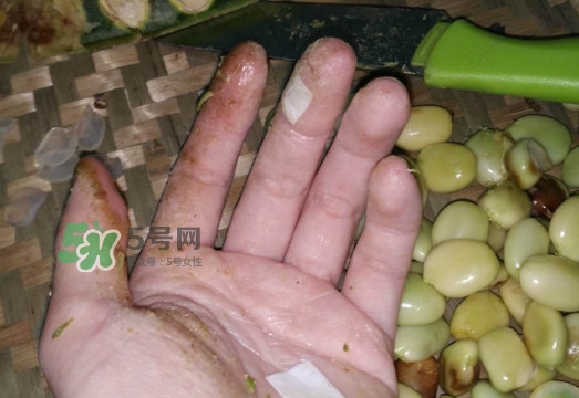 皂角米是怎么剝出來的？皂角米是酸性還是堿性