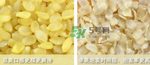皂角米吃了有什么好處？皂角米的功效與作用