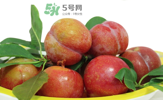 芙蓉李多少錢一斤？芙蓉李價格