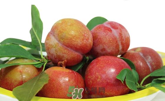 芙蓉李甜嗎？芙蓉李好吃嗎？