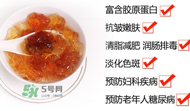 桃膠是桃樹上的膠嗎？桃膠是什么味道