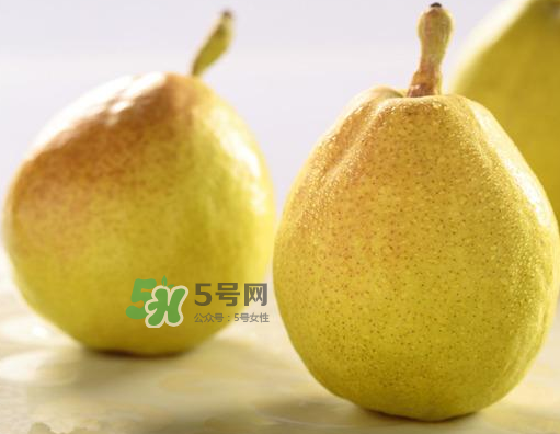 香梨能不能熬冰糖雪梨？香梨可以做冰糖雪梨嗎？