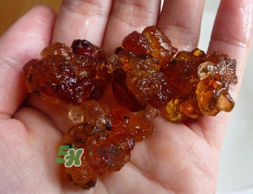 桃膠哪里有賣的？哪里產(chǎn)的桃膠最好