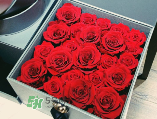 roseonly怎么買？roseonly如何買第二次？