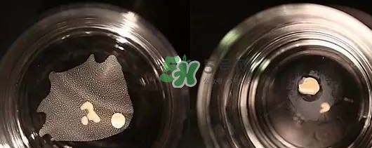 資生堂智能持久粉底液怎么樣？資生堂智能粉底液怎么用