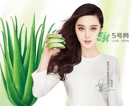 雅麗潔是正規(guī)牌子嗎_雅麗潔是屬于幾線品牌_誰代言的 雅麗潔是正規(guī)牌子嗎_雅麗潔是屬于幾線品牌_誰代言的