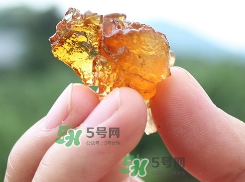 桃膠可以和什么一起煮？桃膠不能和什么一起吃