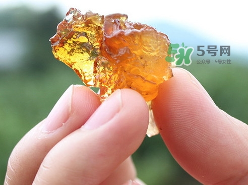 桃膠有假的嗎？如何分辨桃膠真假