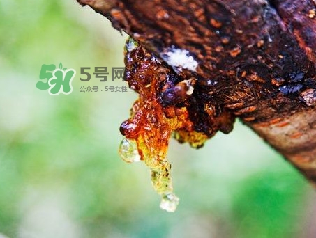 桃膠是發(fā)物嗎？桃膠是中藥嗎