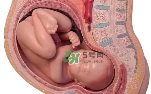 寶寶臍帶繞頸只能剖腹產(chǎn)嗎？胎兒臍帶繞頸孕婦有什么感覺(jué)