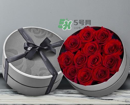 roseonly怎么讀？roseonly怎么讀在線讀？