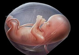 寶寶臍帶繞頸只能剖腹產(chǎn)嗎？胎兒臍帶繞頸孕婦有什么感覺