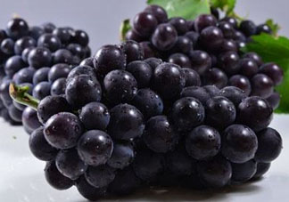 戶太八號什么時(shí)候成熟？戶太八號幾月份成熟？