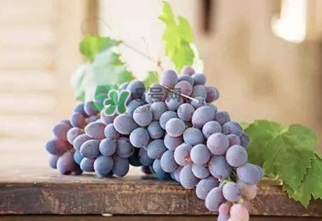 葡萄皮的營(yíng)養(yǎng)價(jià)值_葡萄皮的功效與作用及飲食禁忌 葡萄皮的營(yíng)養(yǎng)價(jià)值_葡萄皮的功效與作用及飲食禁忌