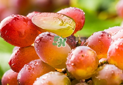 葡萄皮的營(yíng)養(yǎng)價(jià)值_葡萄皮的功效與作用及飲食禁忌 葡萄皮的營(yíng)養(yǎng)價(jià)值_葡萄皮的功效與作用及飲食禁忌