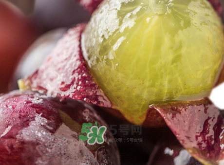 葡萄皮的營(yíng)養(yǎng)價(jià)值_葡萄皮的功效與作用及飲食禁忌 葡萄皮的營(yíng)養(yǎng)價(jià)值_葡萄皮的功效與作用及飲食禁忌