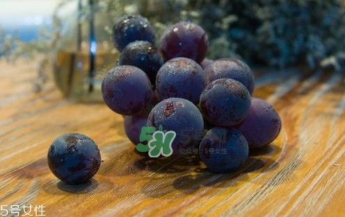 紫葡萄的營(yíng)養(yǎng)價(jià)值_紫葡萄的功效與作用及飲食禁忌 紫葡萄的營(yíng)養(yǎng)價(jià)值_紫葡萄的功效與作用及飲食禁忌