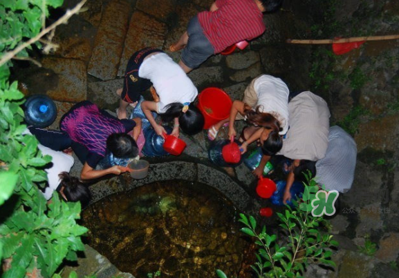 七夕水為什么不會壞？七夕水科學(xué)解釋