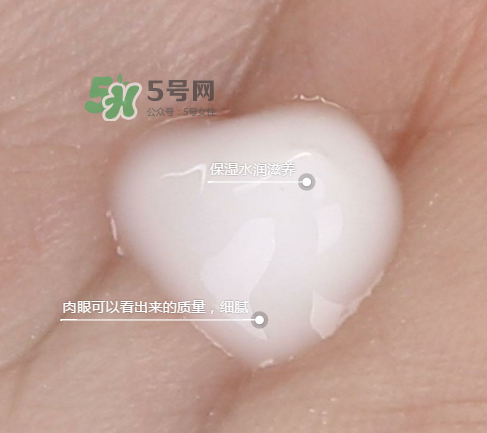 蘭芝新水酷特潤乳霜多少錢？蘭芝新水酷特潤乳霜價格