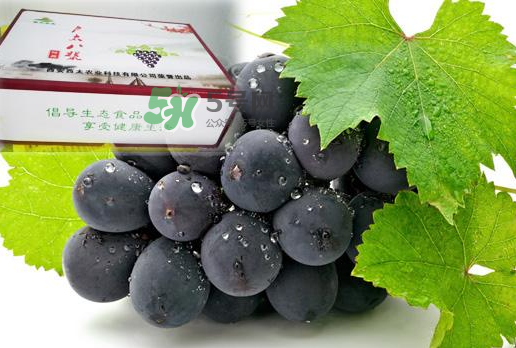 戶太八號(hào)什么時(shí)候成熟？戶太八號(hào)幾月份成熟？