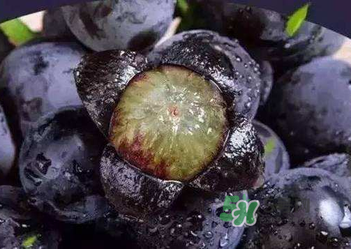 戶太八號多少錢一斤？戶太八號為什么在全國很有名？