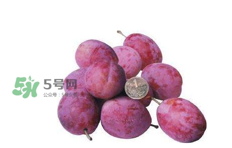 西梅什么時候上市？新疆西梅什么時候上市