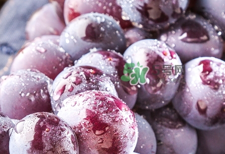 葡萄皮上的白霜是什么_葡萄皮上的白霜怎么洗掉 葡萄皮上的白霜是什么_葡萄皮上的白霜怎么洗掉