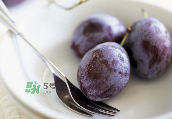 西梅怎么挑選？新鮮西梅怎么保存