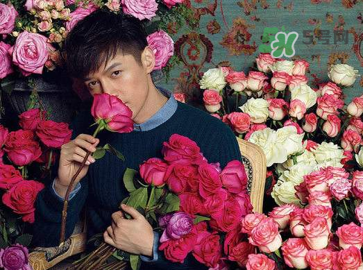 野獸派和roseonly哪個(gè)好？野獸派和roseonly區(qū)別