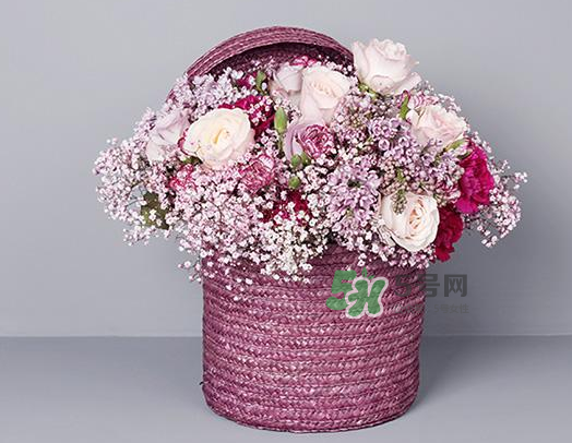 野獸派和roseonly哪個(gè)好？野獸派和roseonly區(qū)別