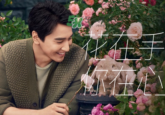 野獸派是什么品牌？野獸派是哪個國家的？