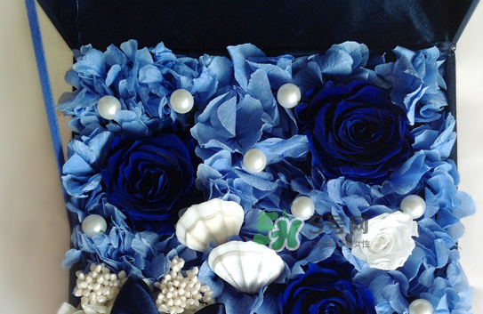 野獸派永生花會(huì)死嗎？野獸派永生花是什么？