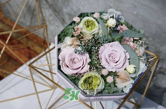 野獸派永生花會(huì)死嗎？野獸派永生花是什么？