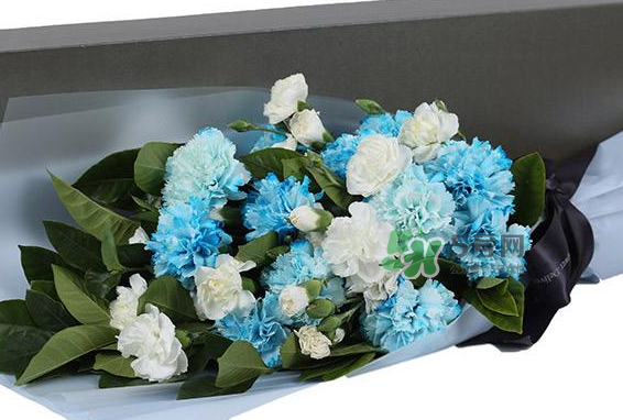 joyflower是哪國品牌？joyflower怎么樣？