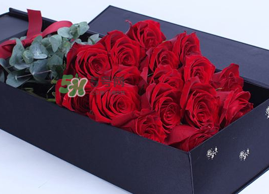 the beast是什么品牌？the beast是什么牌子？