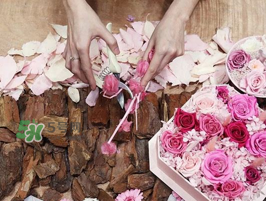 the beast是什么品牌？the beast是什么牌子？