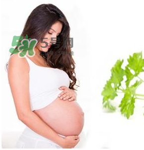 孕婦可以拔牙嗎？孕婦可以拔智齒嗎？