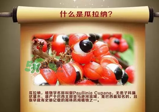 黑卡飲料多少錢(qián)一瓶？黑卡6小時(shí)價(jià)格表
