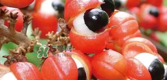 黑卡飲料多少錢(qián)一瓶？黑卡6小時(shí)價(jià)格表