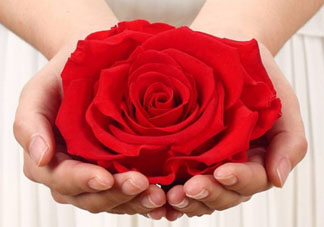 送永生花代表什么？一個男孩送自己永生花是什么意思？