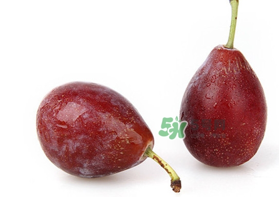 西梅不能和什么一起吃？西梅什么人不能吃？