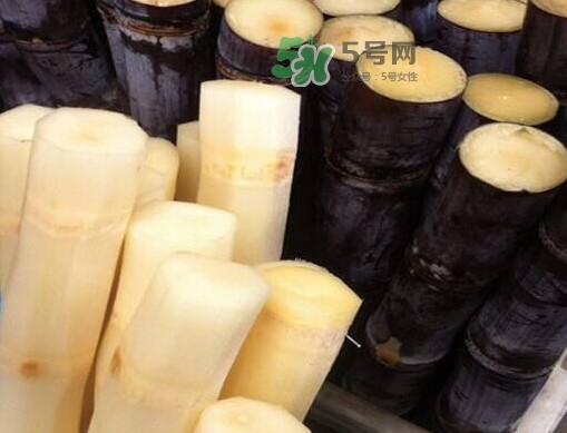 甘蔗是哪里的特產(chǎn)？甘蔗是什么地方的特產(chǎn)