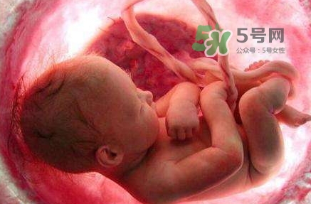 胎兒什么時候入盆？胎兒入盆后胎動會減少嗎？