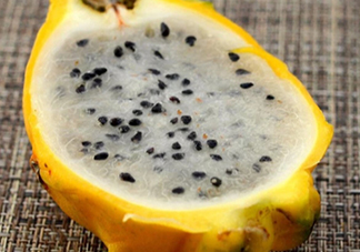 麒麟果會(huì)拉肚子嗎？麒麟果拉肚子怎么辦？