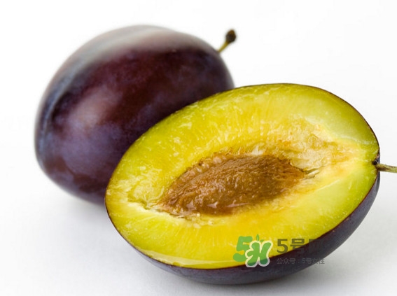 西梅怎么挑選？新鮮西梅怎么保存